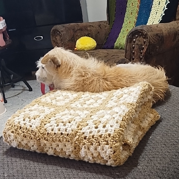 Cream and Tan Granny Square Afghan Blanket Light Colors Warm Blanket Handmade